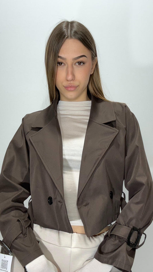 Trench Flaminia