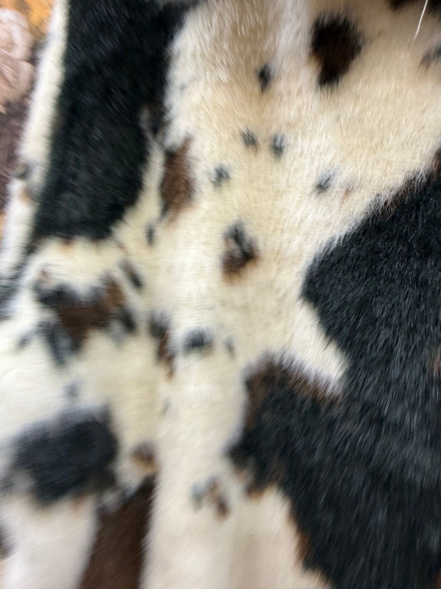 Bomber Cow